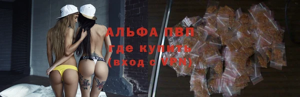 МДПВ Карпинск