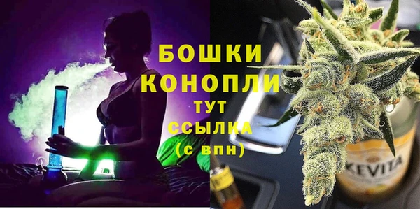 МДПВ Карпинск