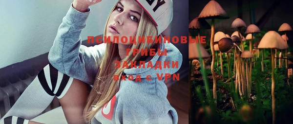 прущий лед Касимов