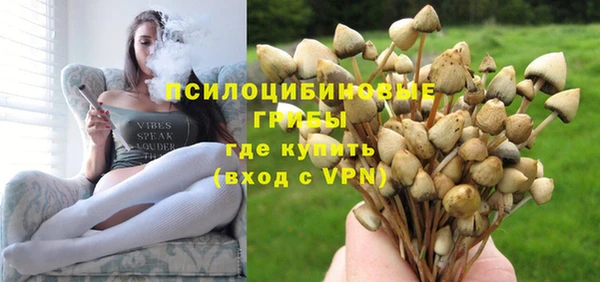 прущий лед Касимов