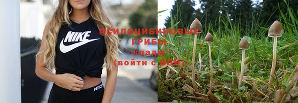 МДПВ Карпинск