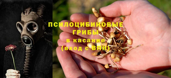 МДПВ Карпинск