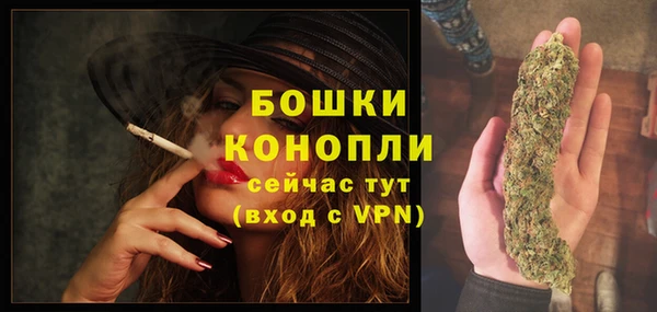 прущий лед Касимов