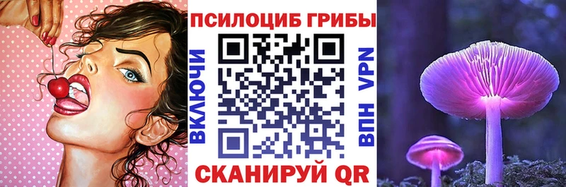 Псилоцибиновые грибы прущие грибы  Купить закладки  Черноголовка 